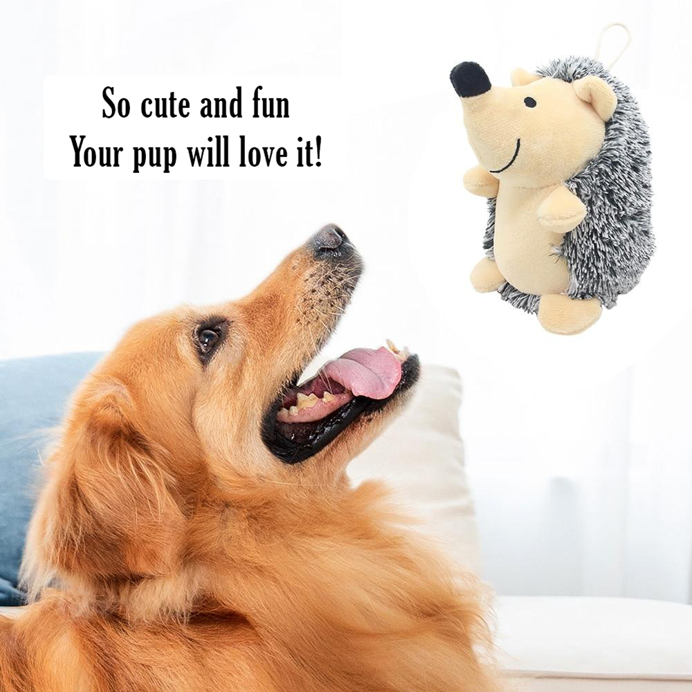 Little Hedgehog Chew Toy