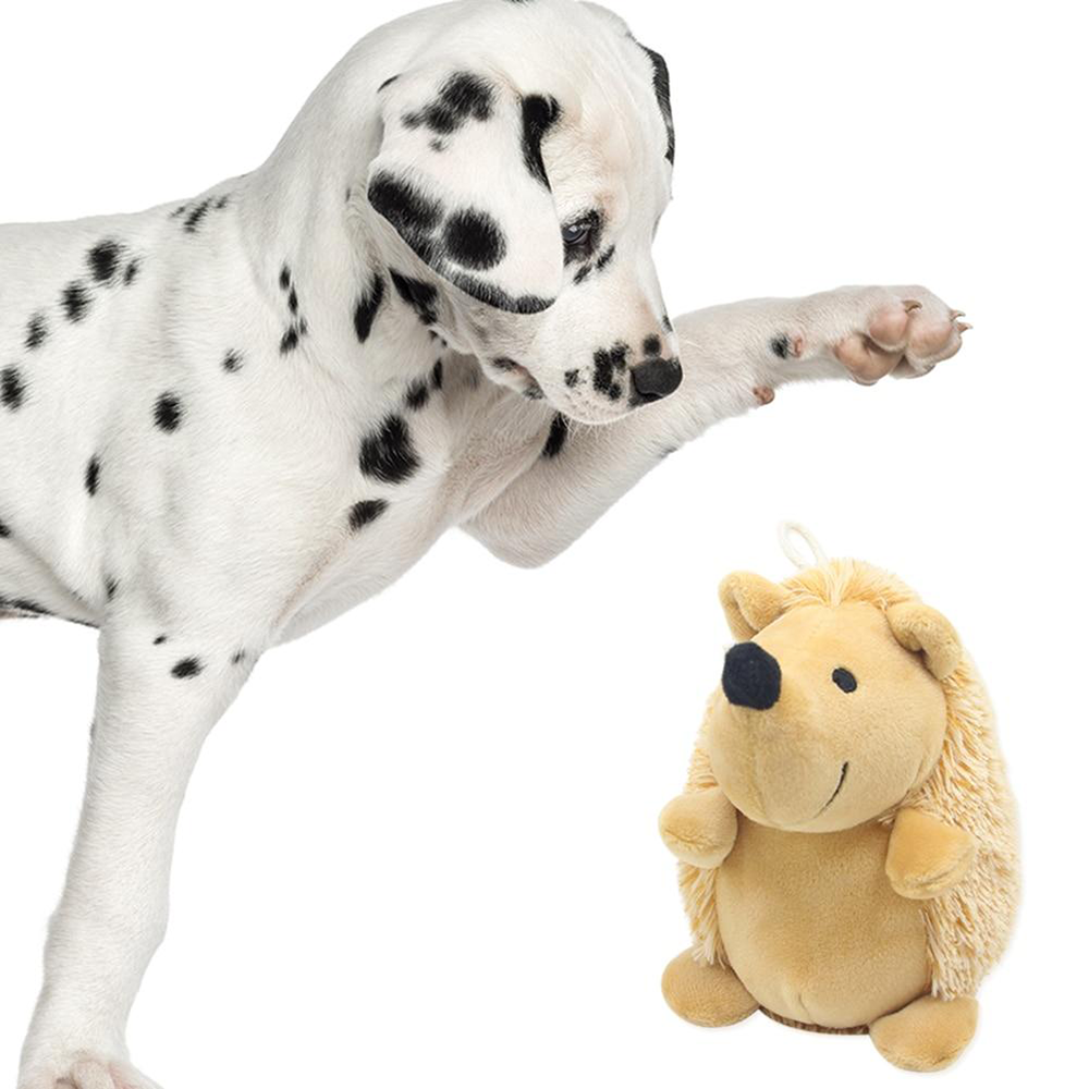 Little Hedgehog Chew Toy