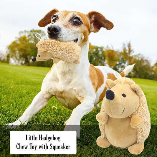 Little Hedgehog Chew Toy