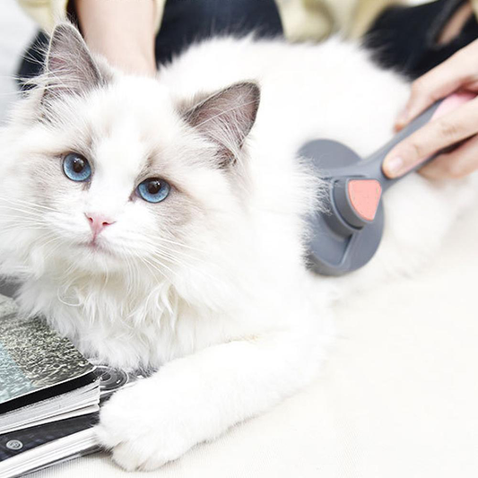 Push n' Clean Pet Hair Grooming Brush