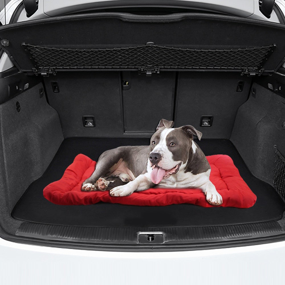 Beddy-to-Go Travel Pet Bed