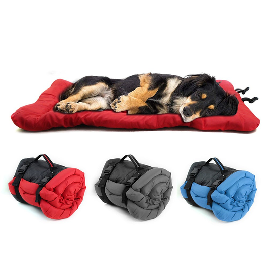 Beddy-to-Go Travel Pet Bed