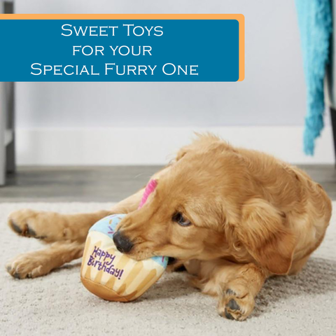 Celebrate Fun with Pet Birthday Toys