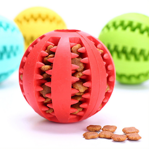 Teeth Cleaning + Fun Chew Ball