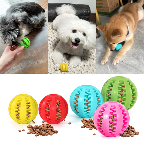 Teeth Cleaning + Fun Chew Ball