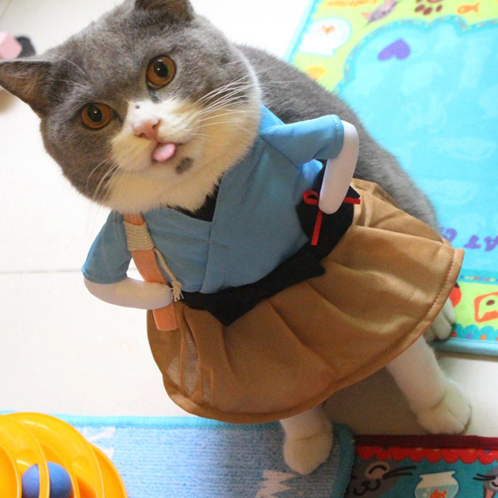 Samurai Pet Costume