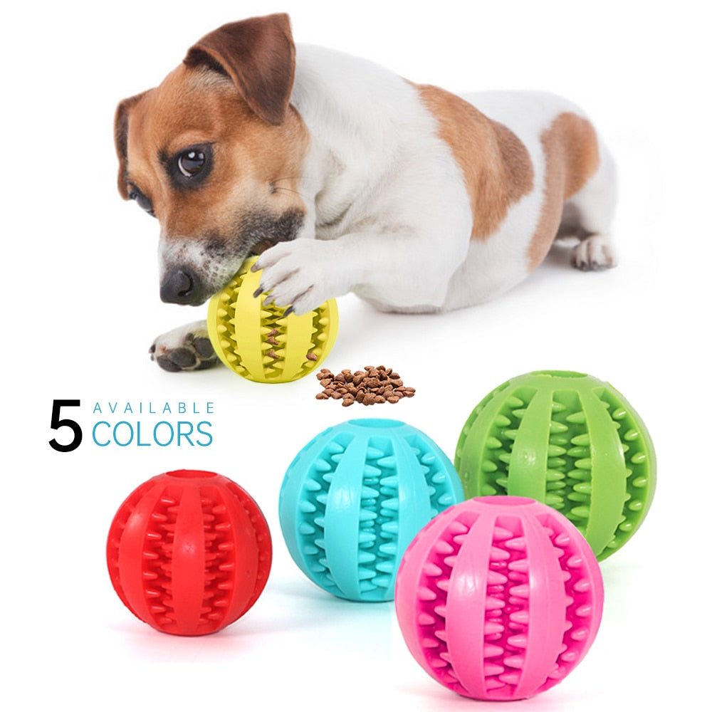 Teeth Cleaning + Fun Chew Ball