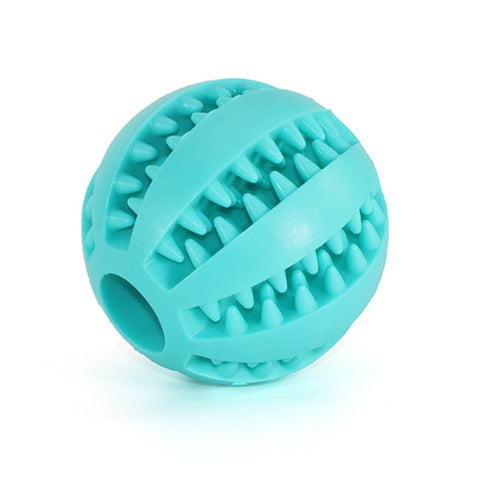 Teeth Cleaning + Fun Chew Ball