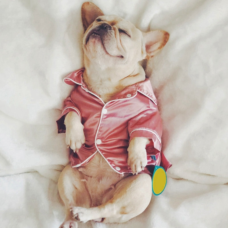 Silky Soft Doggie Pajamas