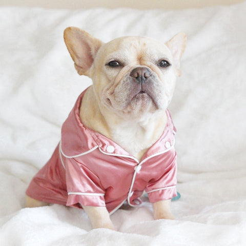 Silky Soft Doggie Pajamas